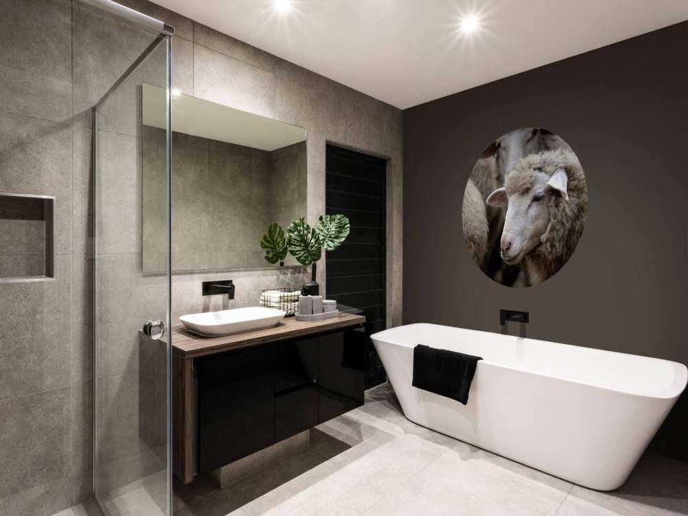 Pecora in primo piano