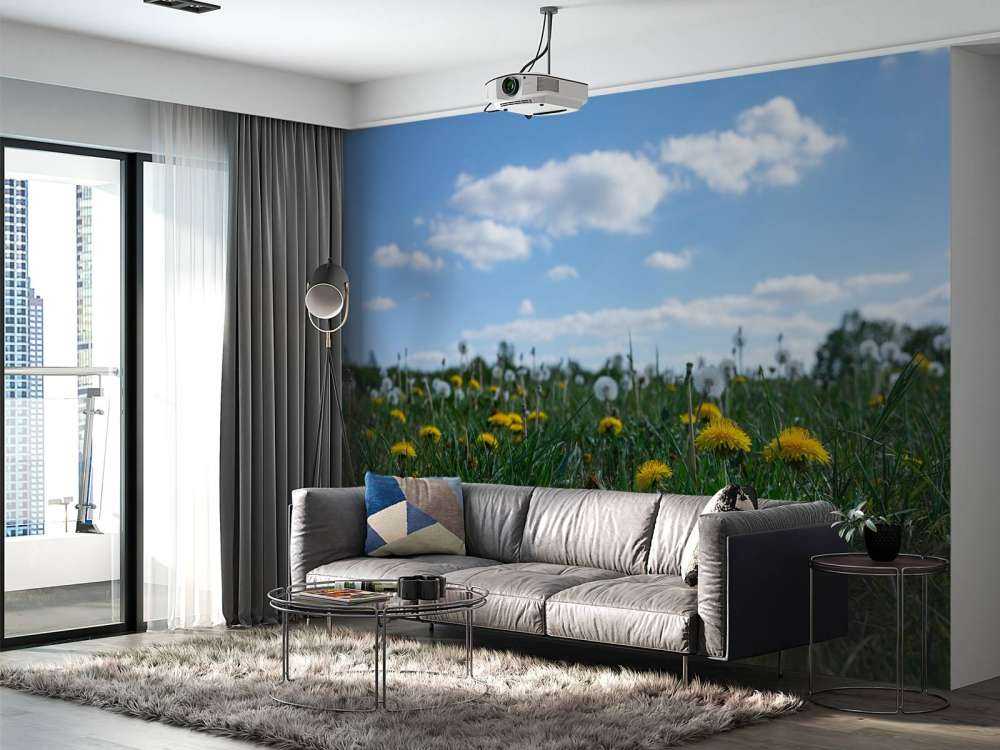 Denti di leone gialli