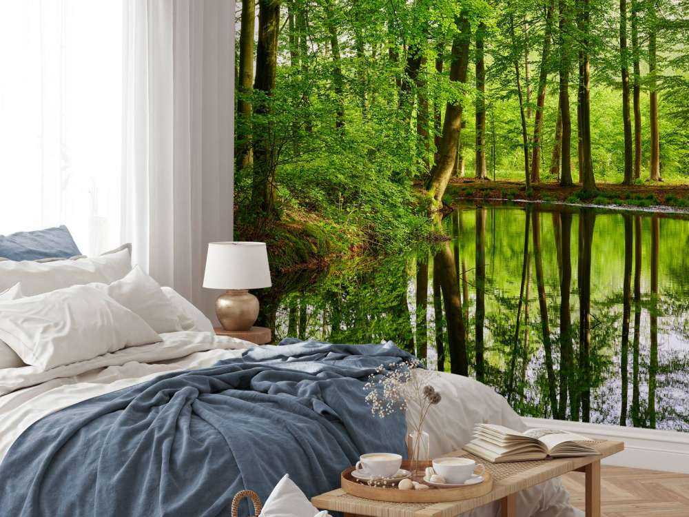 Riflessione di alberi in acqua