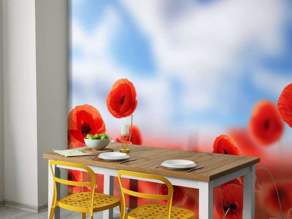 Cielo blu e papaveri rossi