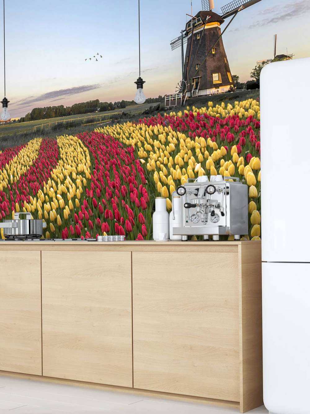 Campo di tulipani olandese