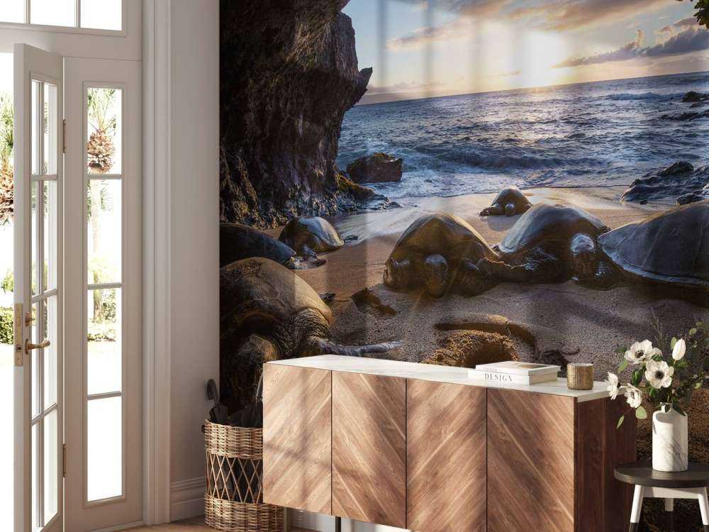 Tartarughe in una grotta