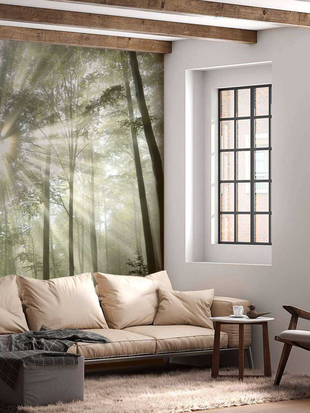 Foresta con la nebbia