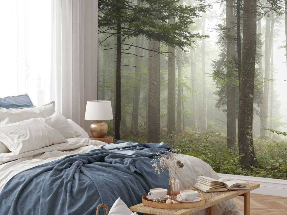 Bellissimo paesaggio nebbioso