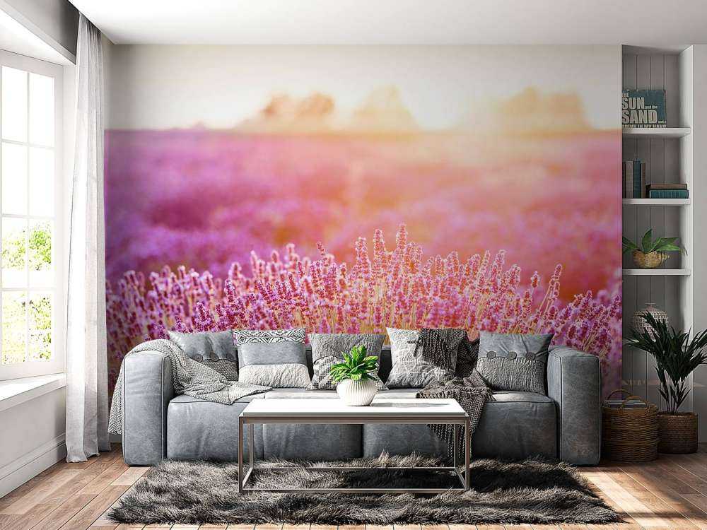 Fiori di lavanda ravvicinati