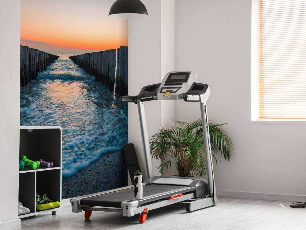 Frangiflutti al tramonto