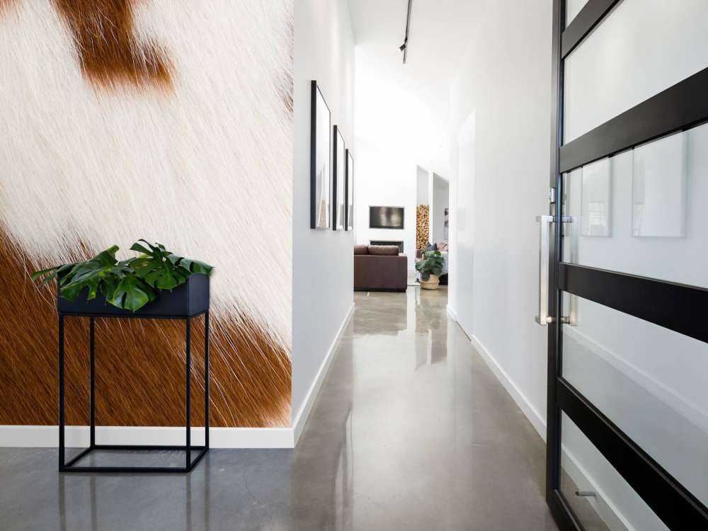 Vacchetta rossa e bianca