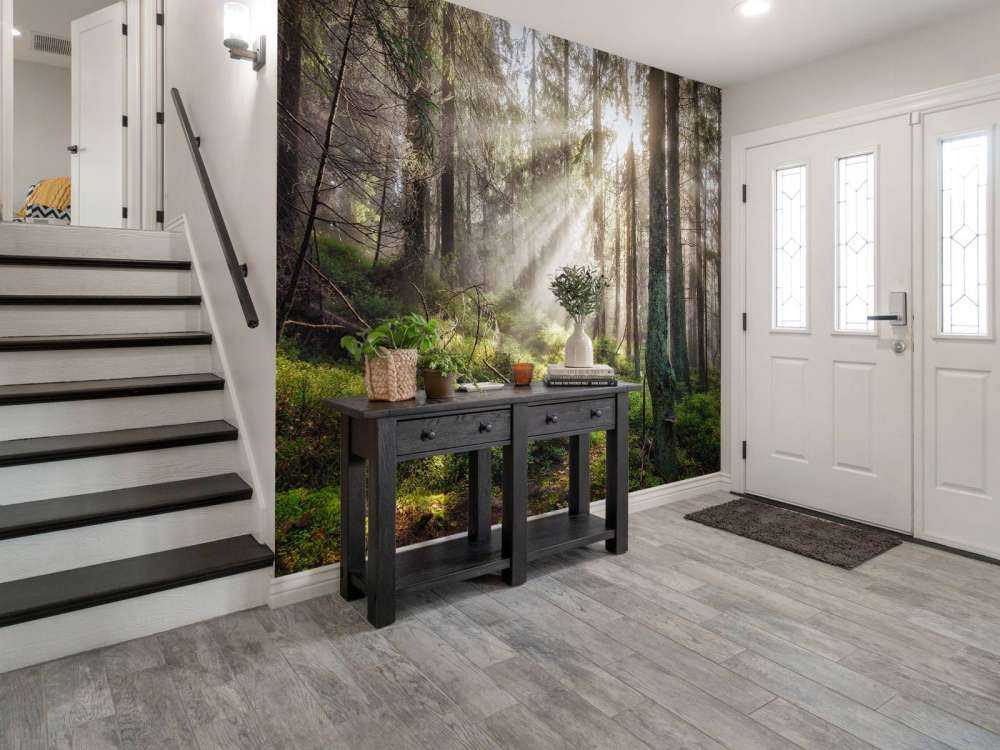 Foresta autunnale con sole