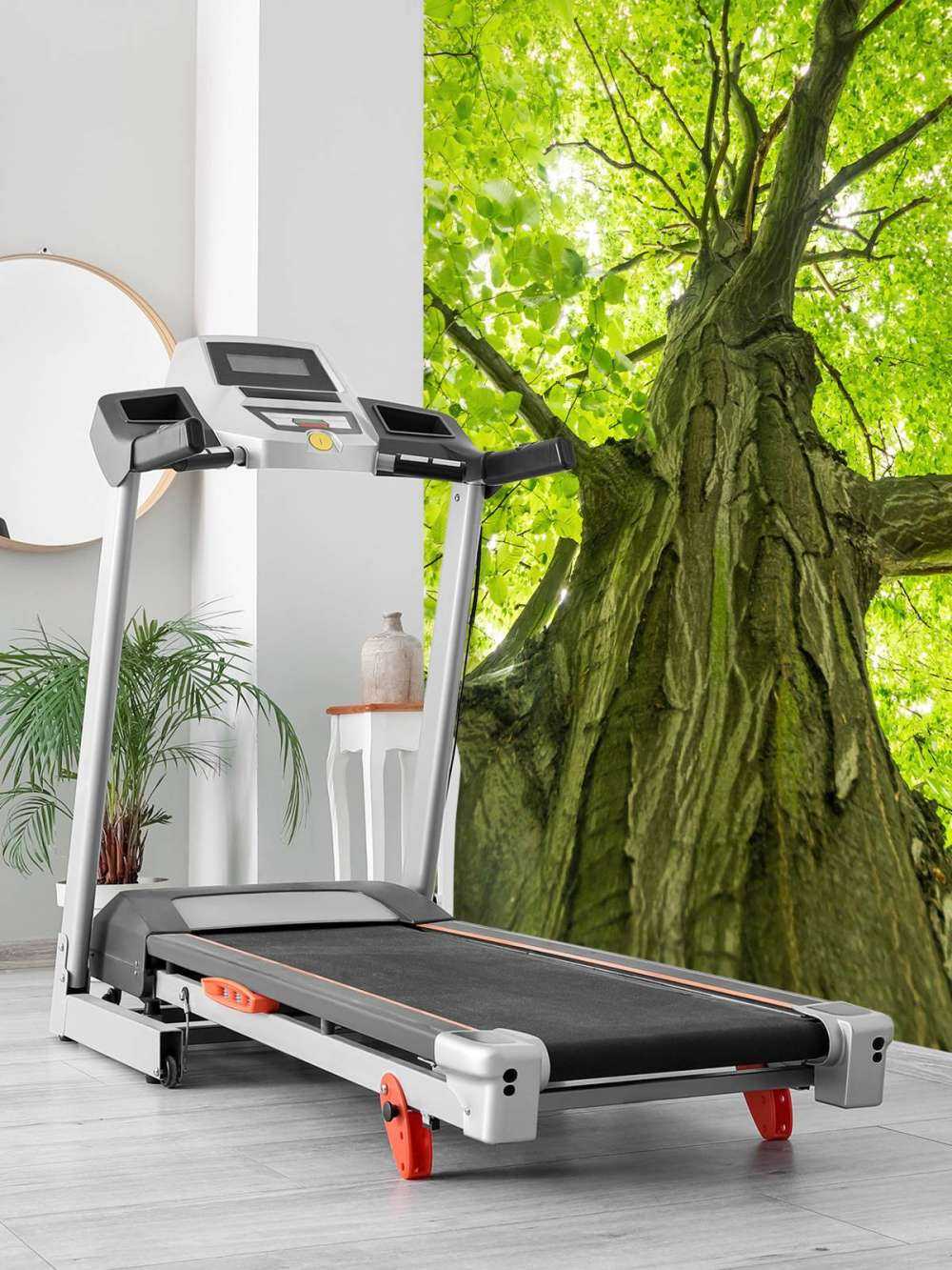 Grande albero nella foresta