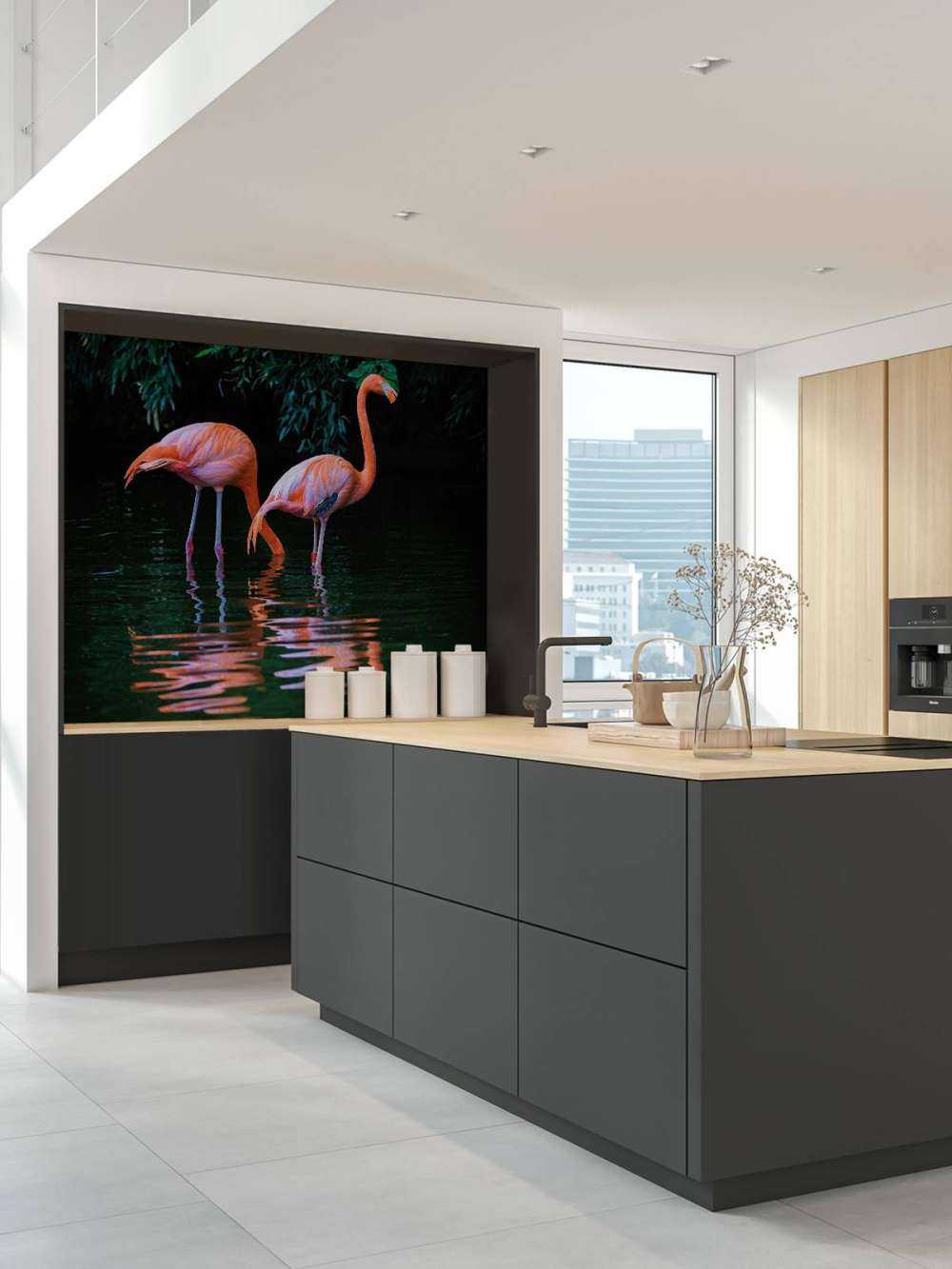 Due fenicotteri caraibici