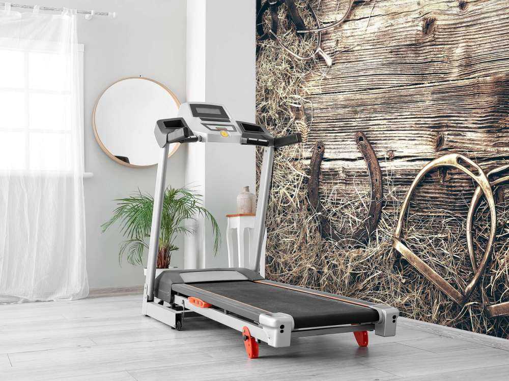 Attrezzatura per cavalli