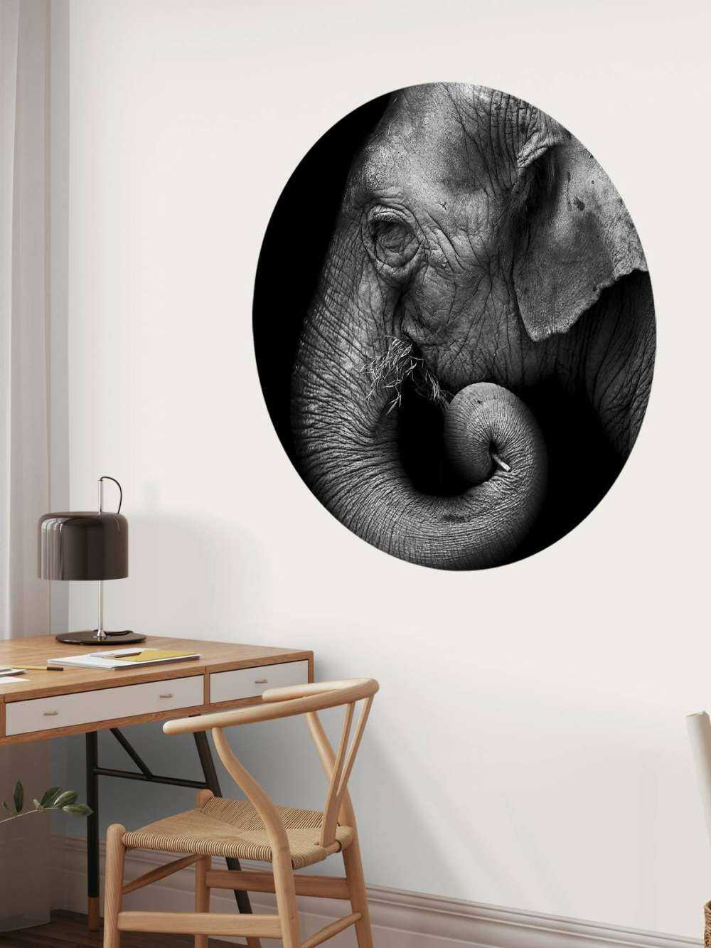 Ritratto di elefante