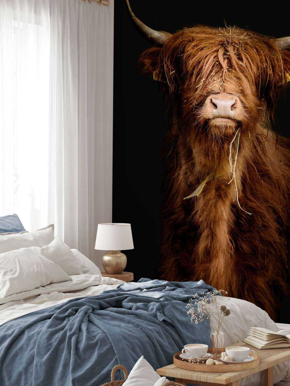 Ritratto scozzese Highlander