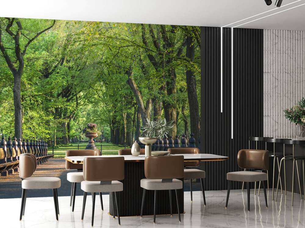 Sentiero a Central Park