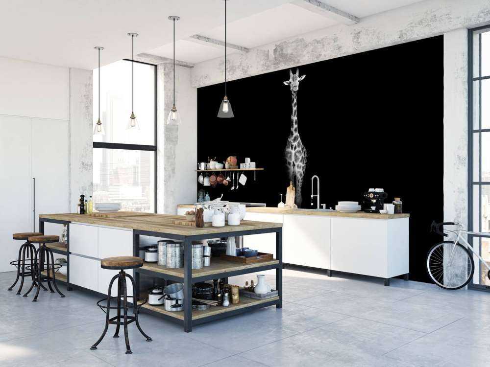 Giraffa in bianco e nero