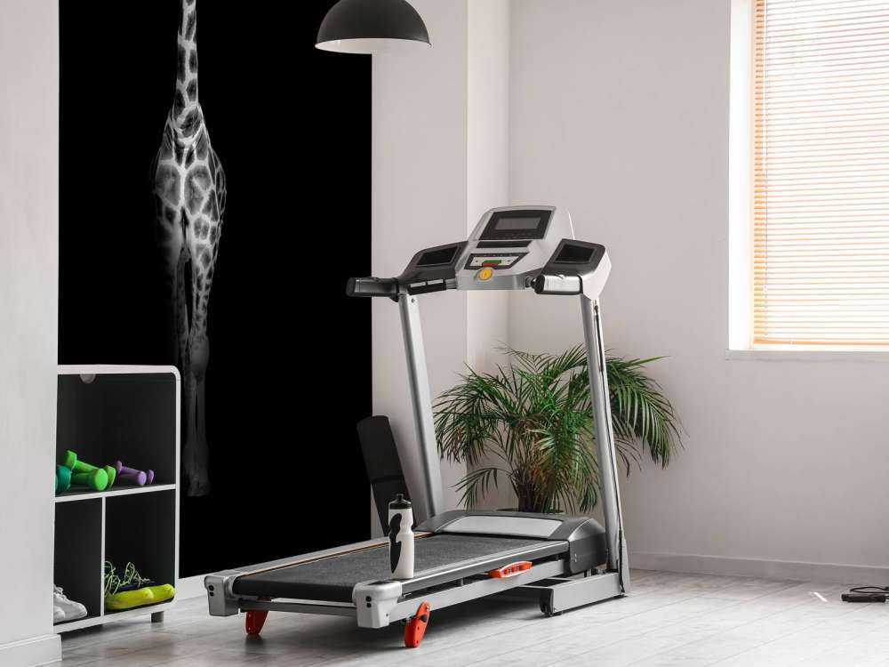 Giraffa in bianco e nero