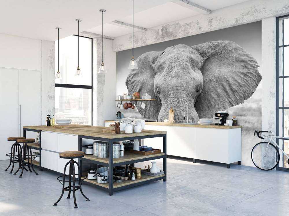 Carta da parati moderna Elefante sospeso - Collezione Casa