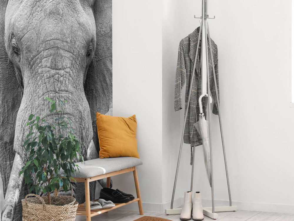 Elefante bianco e nero