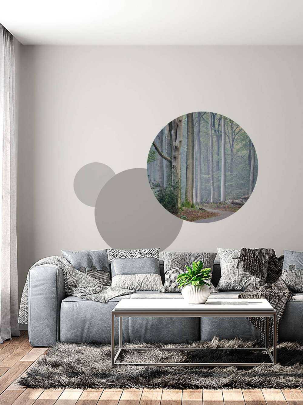 Sentiero attraverso la foresta