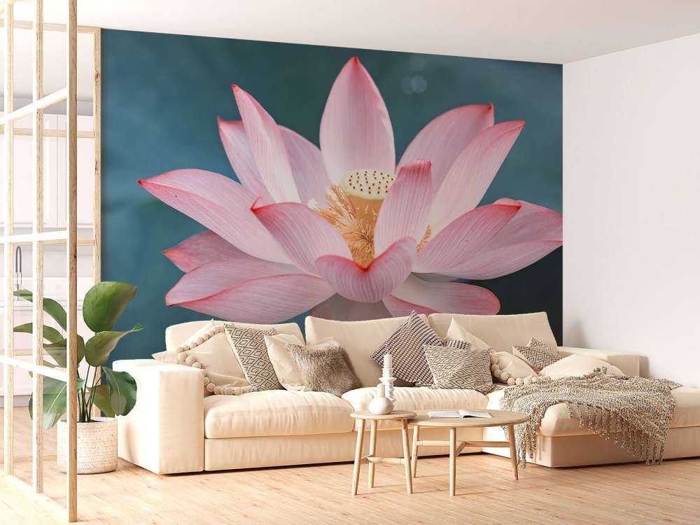 Fiore di loto da vicino