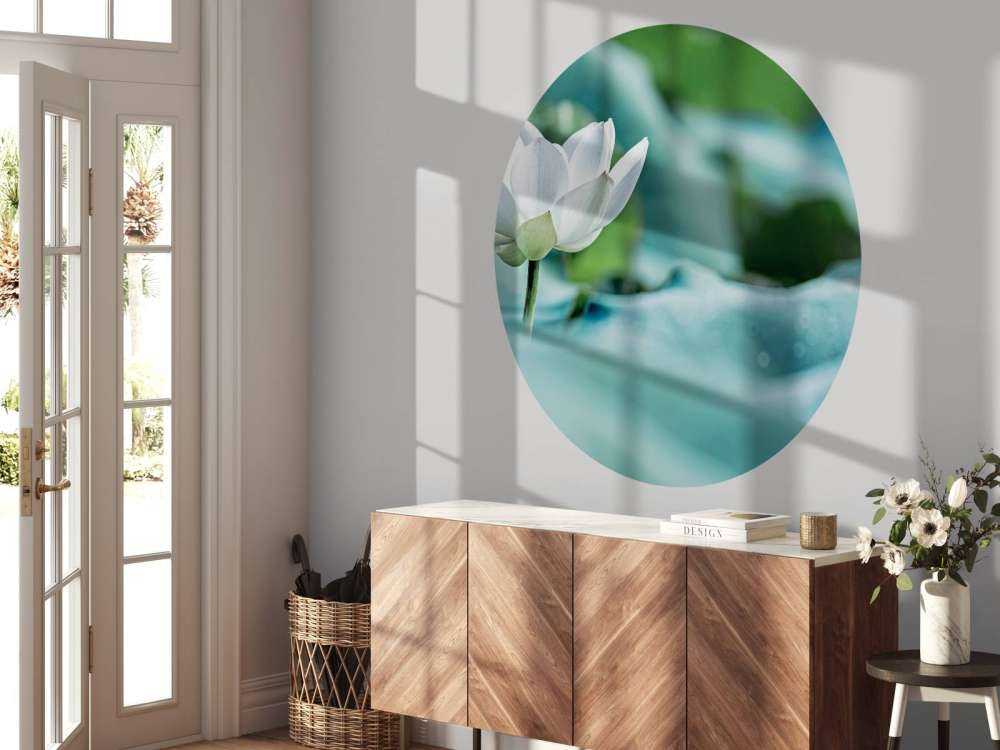 Fiore di loto bianco