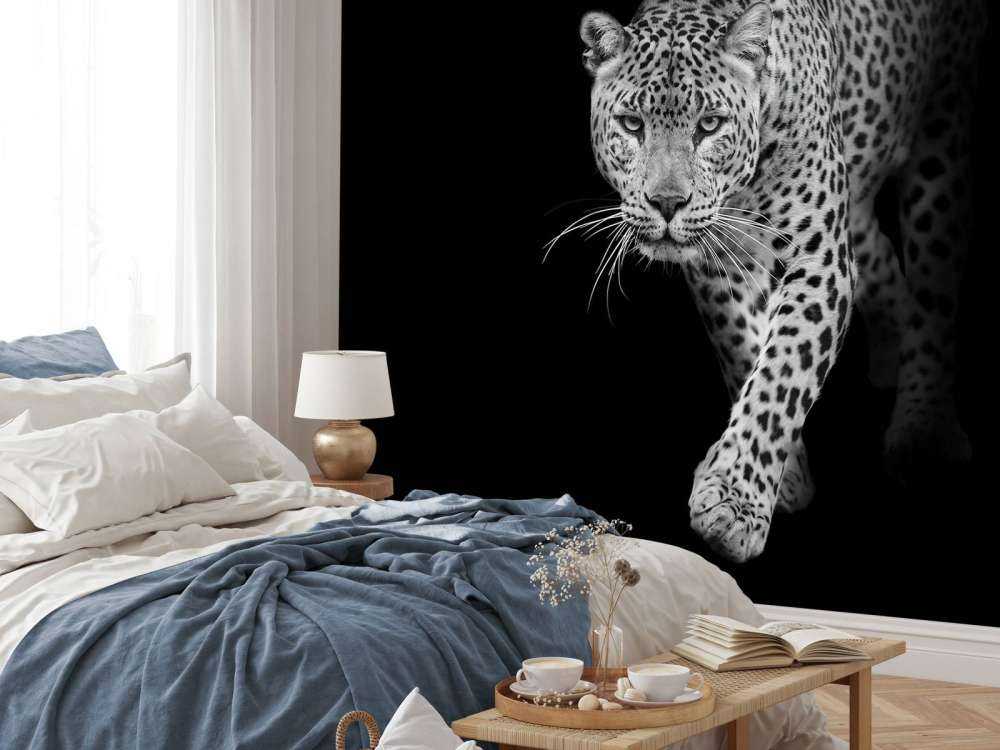 Leopardo