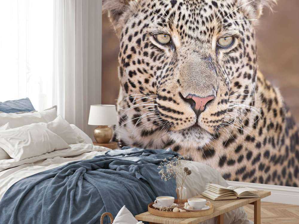 Ritratto di leopardo