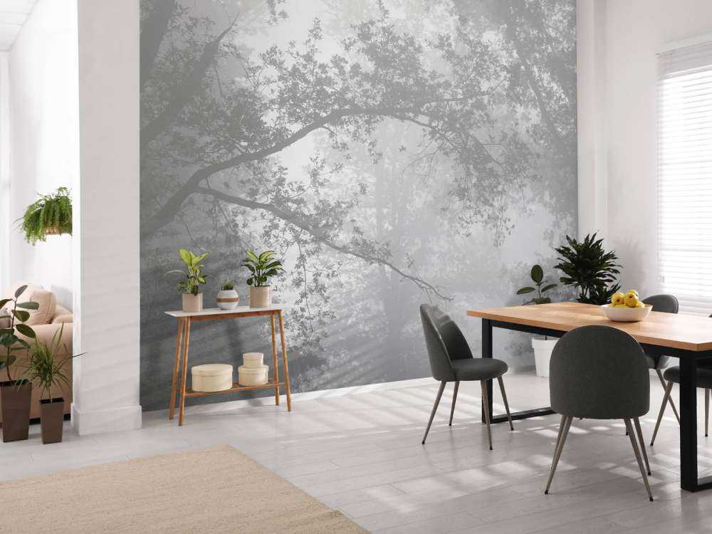 Una bella foresta nella nebbia