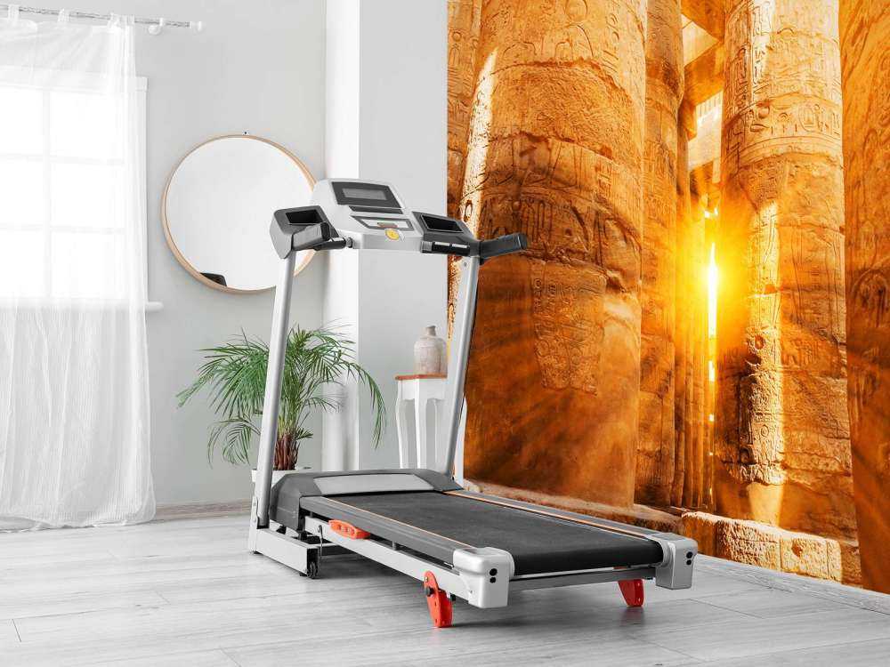 Il sole attraverso le rovine