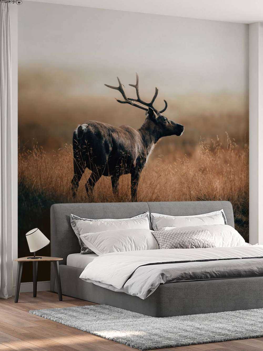 Renne nell'erba alta