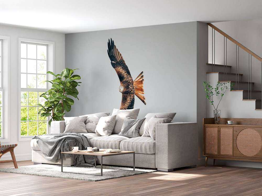 Nibbio rosso ad ali spiegate