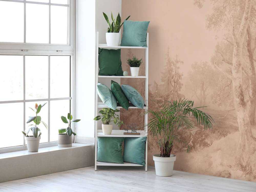 Paesaggio Forestale Terra #2