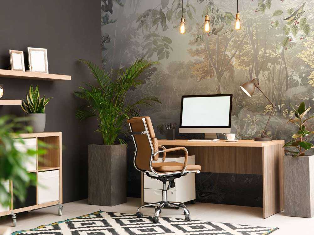 Foresta Mistica Uccelli