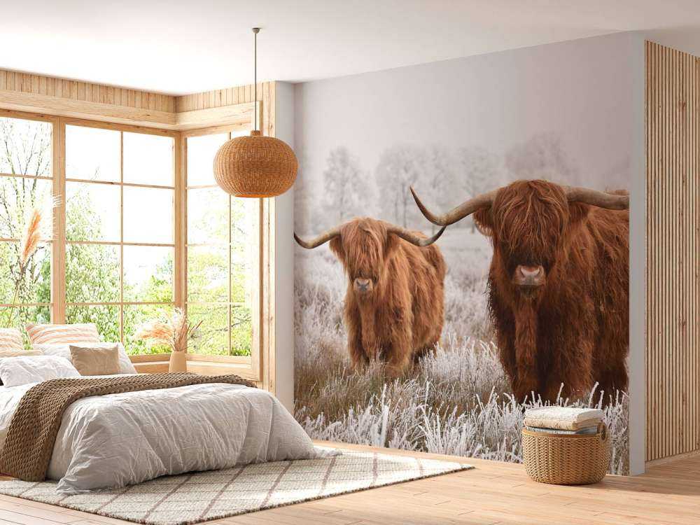 Highlander Invernale