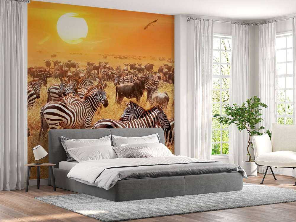 Savana sole con zebre