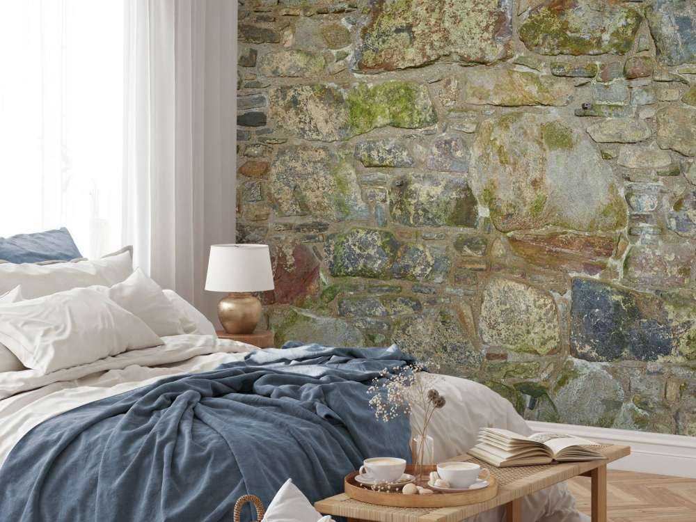 Vecchio muro con muschio