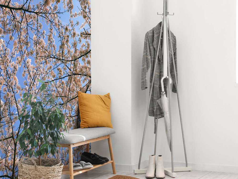 Rami in fioritura in fiore