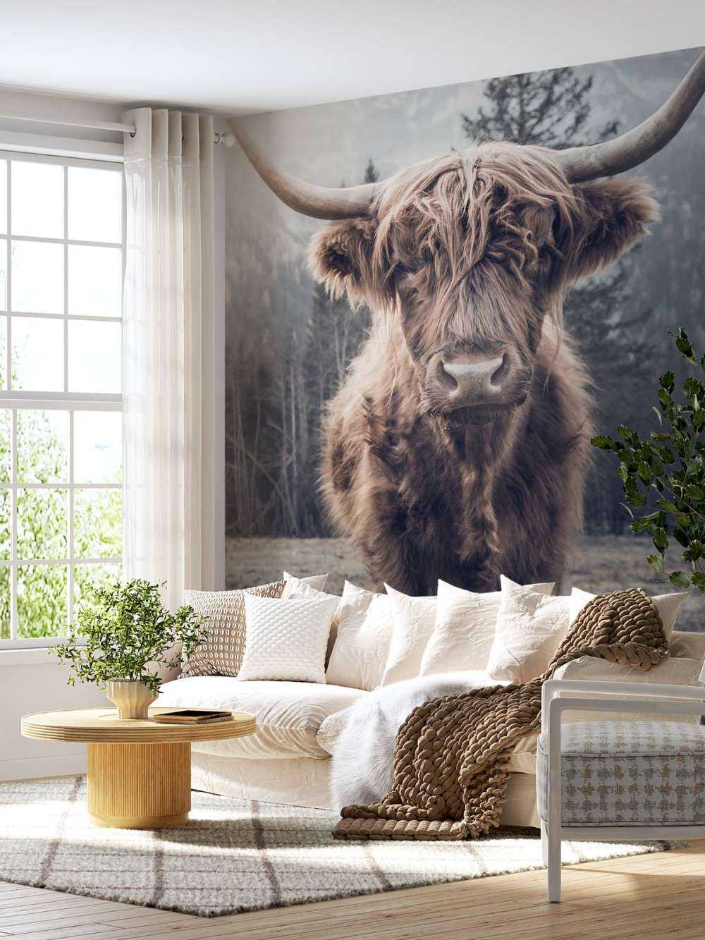 Highlander scozzese vicino alla foresta