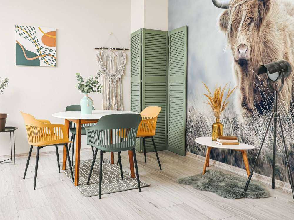 Highlander scozzese in natura