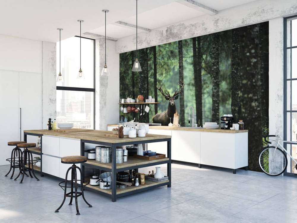 Grande cervo tra gli alberi