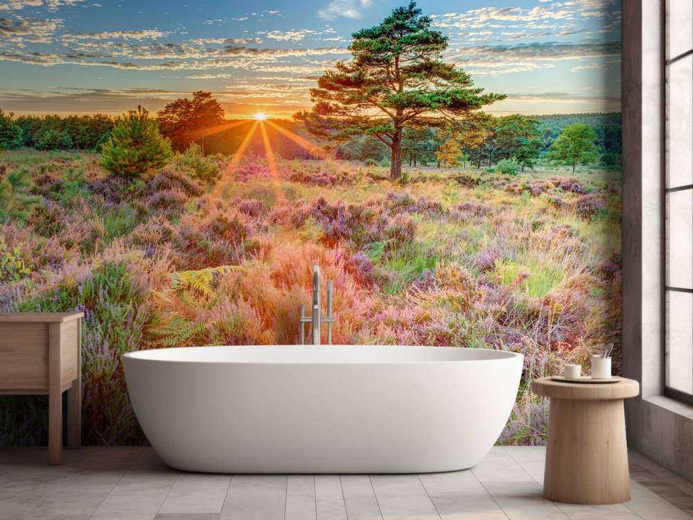 Tramonto in campagna