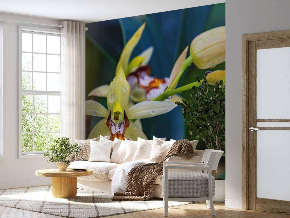 Orchidea gialla selvaggia