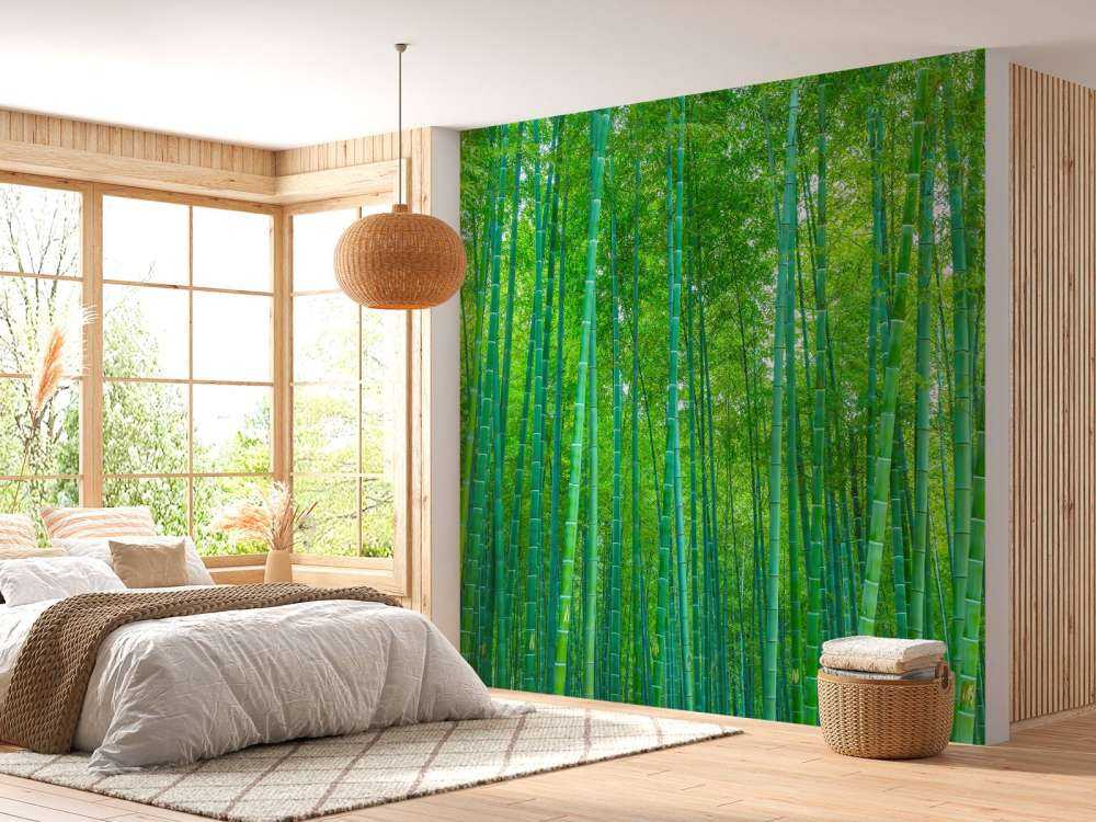 Una verde foresta di bambù