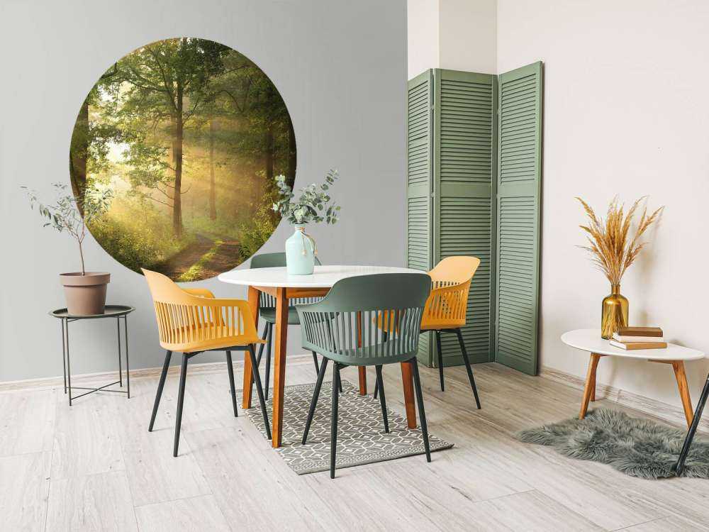 Nebbiosa mattina di primavera