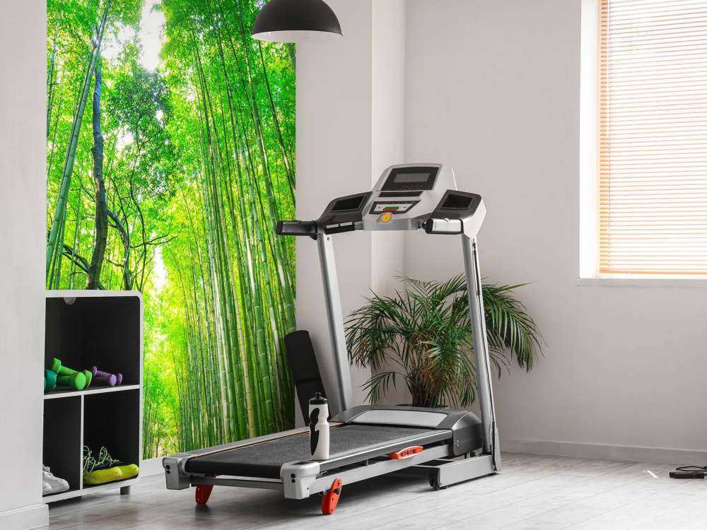 Foresta di bambù di Arashiyama