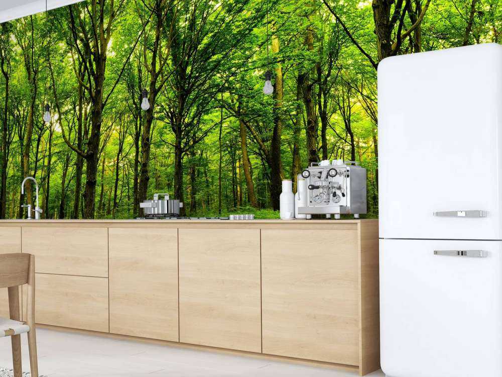 Foresta lussureggiante 