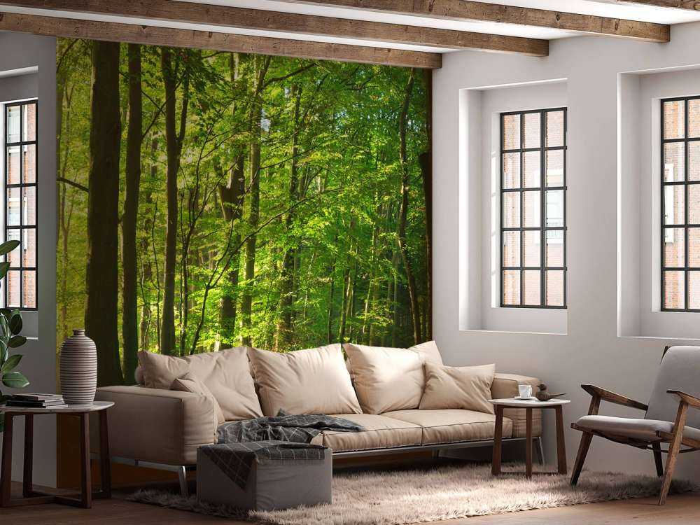 Strada soleggiata attraverso una foresta