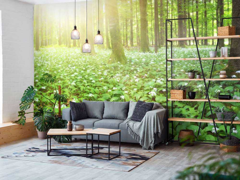 Foresta selvaggia all'alba