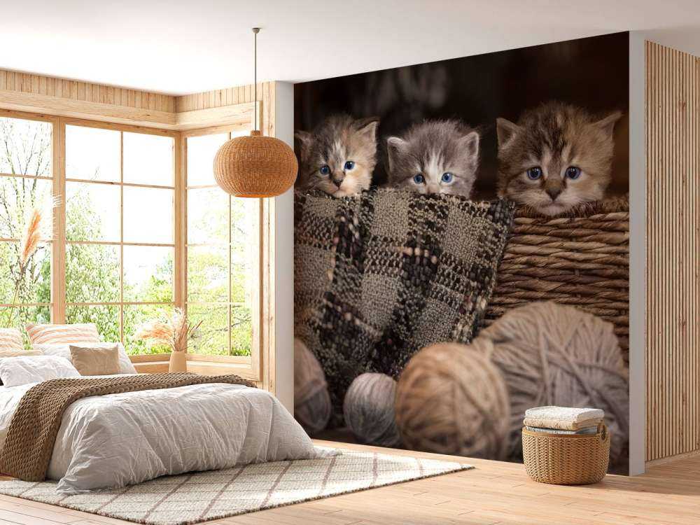 Tre gattini in un cestino