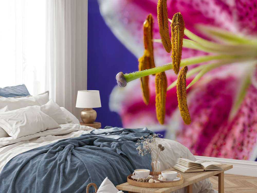 Fiore rosa ravvicinato